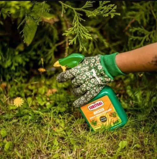 Środek Chwastobójczy Substral Mniszek Ultra Hobby 750 ml x 2 sztuki