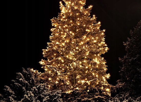 SOPLE ZEWNĘTRZNE 300 LED 15m. TIMER FLASH ŚWIĄTECZNE CHOINKOWE LAMPKI