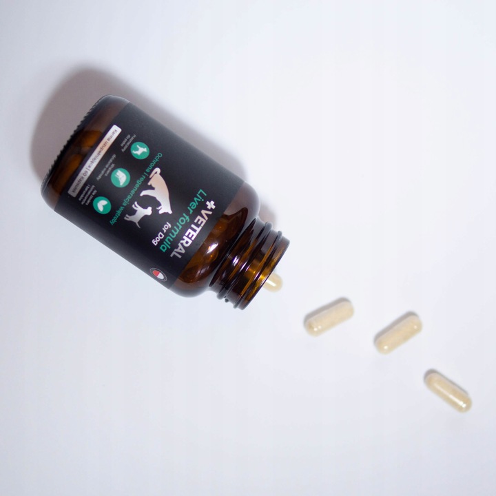 VETERAL SUPLEMENT NA WSPARCIE WĄTROBY DLA PSA suplement na wątrobę