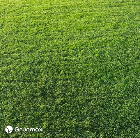 GRUNMAX - Green expert wiosenny nawóz do trawy, trawnika , PREMIUM 20kg