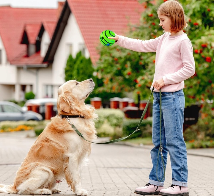Interaktywna Zabawka dla Psa Piłka z Dźwiękiem Wytrzymała Dużych Ras Psów