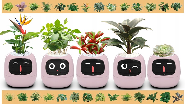 Inteligentna doniczka IVY SMART PLANTER osłonka na donicę PLANTSIO RÓŻOWA