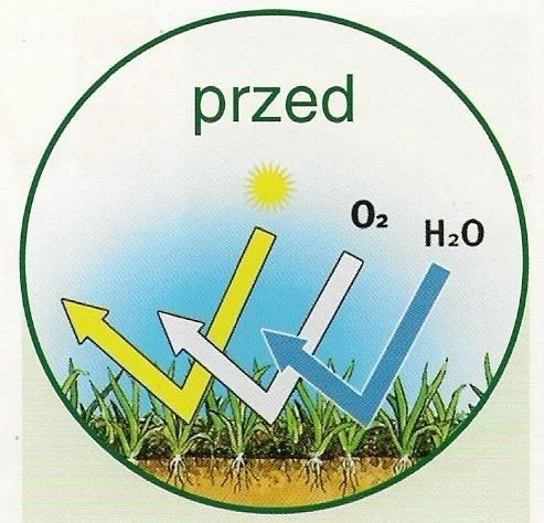 Wertykulator na kółkach do oczyszczania trawnika po zimie 3395 Gardena