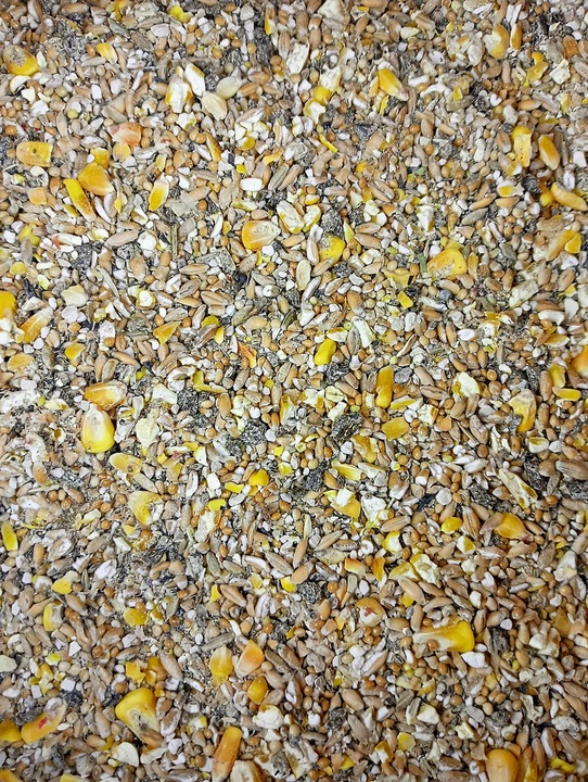 PASZA DLA KUR NIOSEK 25KG NATURALNA KARMA MIESZANKA BEZ GMO SYPKA ZIARNO