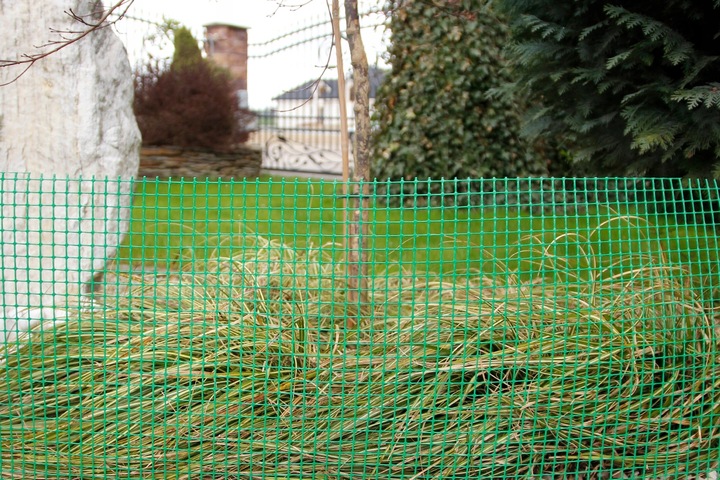 Siatka Rabatowa Dla Kur Drobiu Na Krety PCV 1,5x50m Osłona Drzew