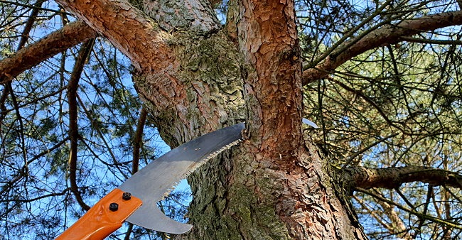 PIŁA DO CIĘCIA GAŁĘZI DREWNA NA WYSIĘGNIKU Z HAKIEM TELESKOPOWA 3M RĘKAWICE