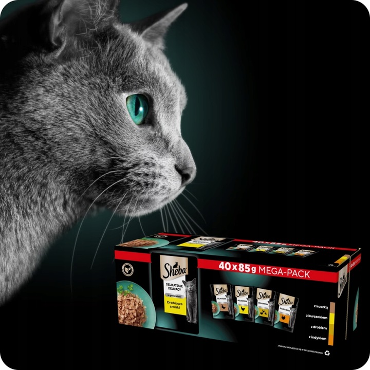 MOKRA KARMA DLA KOTA SHEBA DELICACY DROBIOWE SMAKI W GALARETCE 40x85G