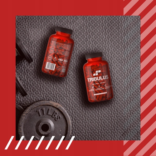 TRIBULUS TESTOSTERON TERRESTRIS BUZDYGANEK TESTO LIBIDO 100 MUSCLE POWER