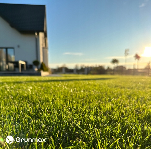 GRUNMAX - Green expert wiosenny nawóz do trawy, trawnika , PREMIUM 20kg