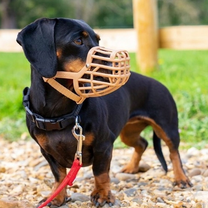 BASKERVILLE CLASSIC 7 KAGANIEC FIZJOLOGICZNY dla Psa z OSŁONĄ M-L 26/7cm