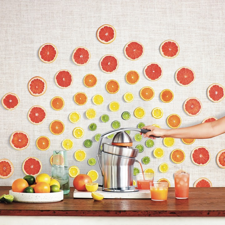 Wyciskarka do Cytrusów SCP800 THE CITRUS PRESS PRO