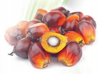 AVITALE TOKOTRIENOLE w kroplach witamina E