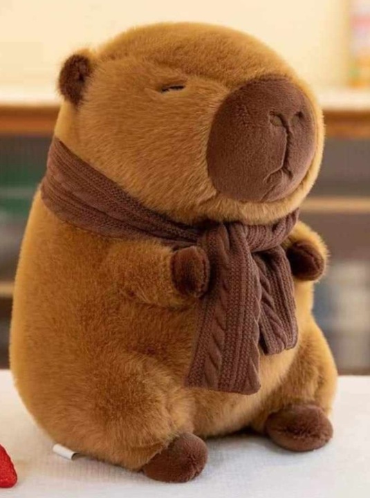 Kapibara koc Przytulanka kocyk Zestaw 3w1 Maskotka kapibara z kocem