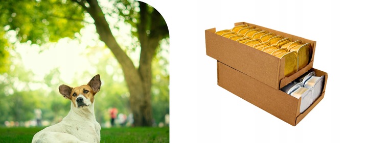 Karma Mokra dla Psa Tacka duży Pakiet Ekonomiczny 36 szt. x 300g 10,8 kg