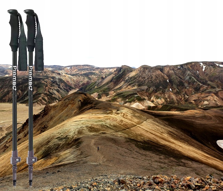 KIJKI DO NORDIC WALKING KIJE TREKKINGOWE DLA DZIECI SKŁADANE REGULOWANE x2