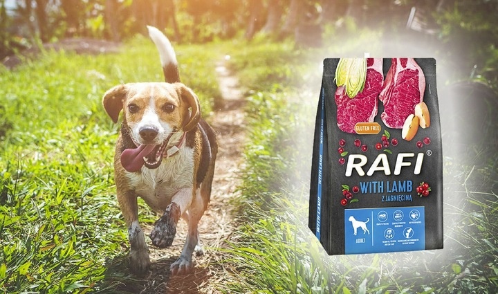 Rafi karma sucha jagnięcina 10 kg