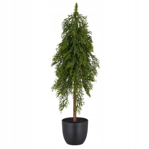 Świąteczne drzewko z zielonego cyprysu w doniczce 51 cm