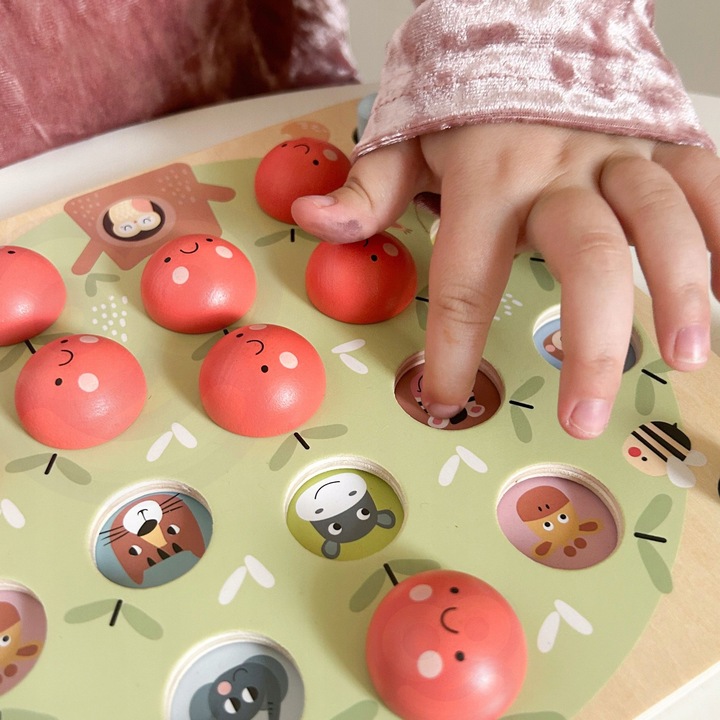 JABŁUSZKA MEMORKI GRA LOGICZNA PAMIĘCIOWA MEMORY TOOKY TOY
