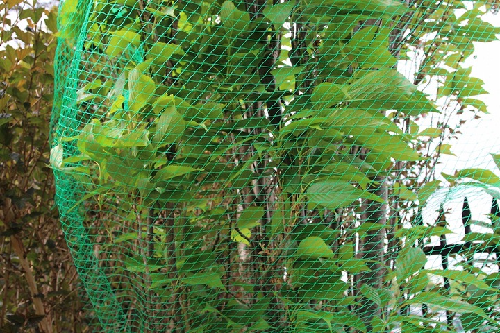 Siatka ochronna na oczko wodne basen liście 15x15m +KOTWY przeciw liściom