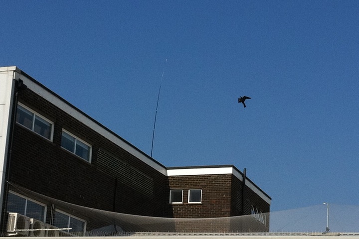 Odstraszacz Ptaków Duży Latawiec Jastrząb CH2