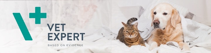 VET EXPERT KALMVET ADVANCED - preparat na objawy stresu dla psów i kotów