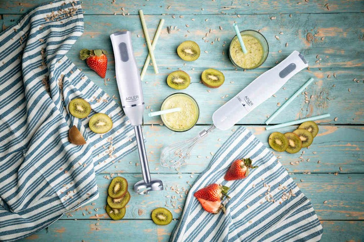 Blender ADLER AD 4620