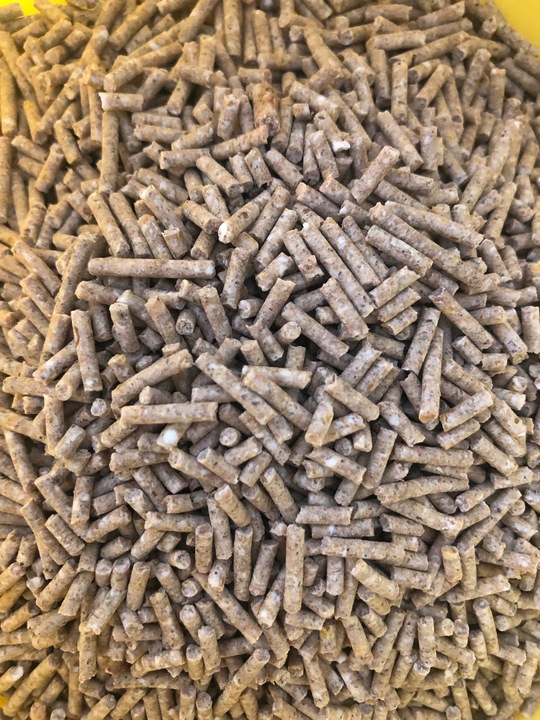 Speed Layer pasza dla kur niosek Dopalacz nieśności Kura Nioska 5