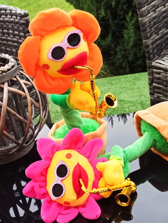 ŚPIEWAJĄCY TAŃCZĄCY KWIATEK z saksofonem SŁONECZNIK JAK KAKTUS