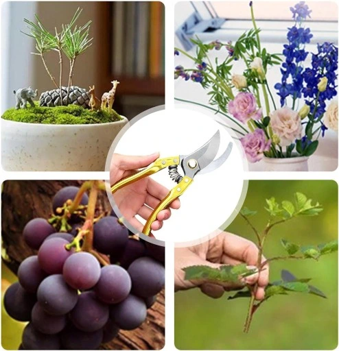 SEKATOR NOŻYCOWY DO GAŁĘZI NOŻYCE DO DO PRZYCINANIA Z BLOKADĄ 220 MM