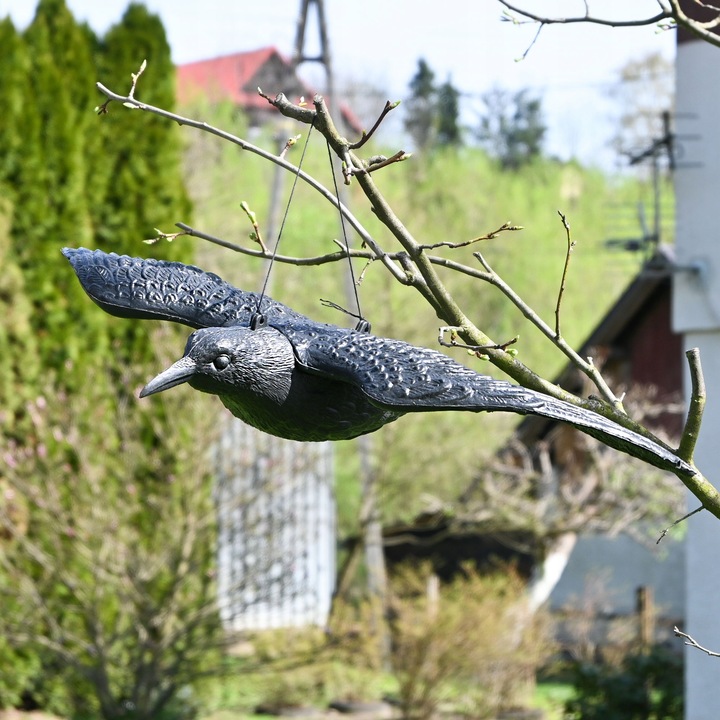 Kruk w locie Sillar makieta ptaka kruka odstraszacz ptaków gołębi szpaki 3x