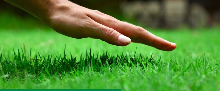 ROSAHUMUS 1kg nawóz organiczny kwasy humusowe POTAS POPRAWIA JAKOŚĆ GLEBY