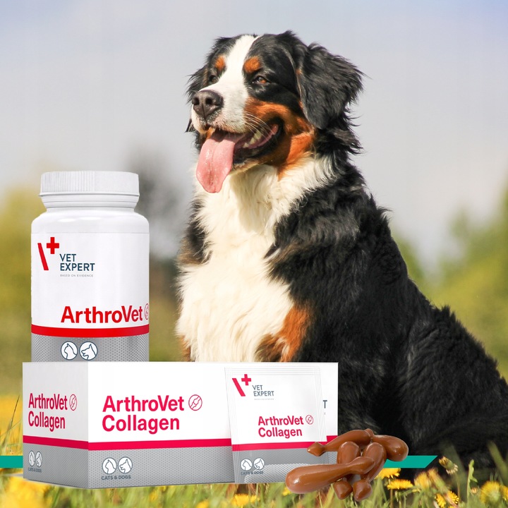 Vet Expert ARTHROVET - zestaw wspomagający prawidłowe funkcjonowanie stawów