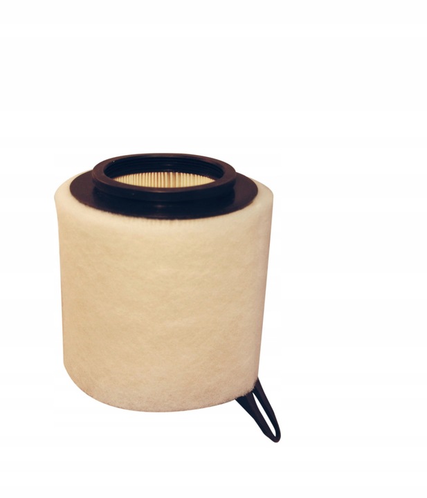 FILTR POWIETRZA FILTRON AK362/4