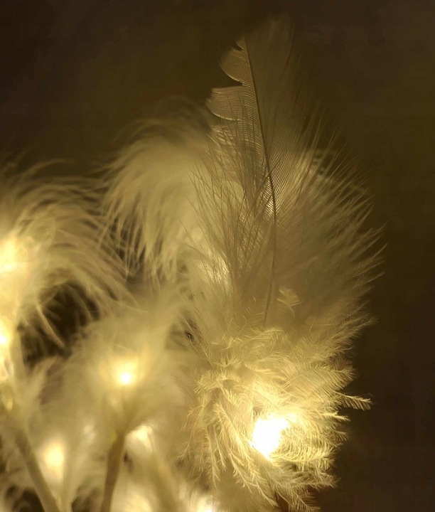 Dekoracja drzewko led ozdobne z piórkami światło BIAŁE CIEPŁE