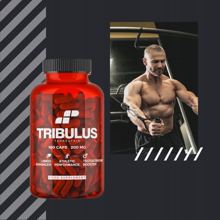 TRIBULUS TESTOSTERON TERRESTRIS BUZDYGANEK TESTO LIBIDO 100 MUSCLE POWER