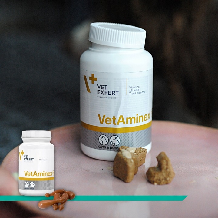 Preparat dla psów i kotów witaminy minerał Vet Expert Vetaminex 60 kapsułek