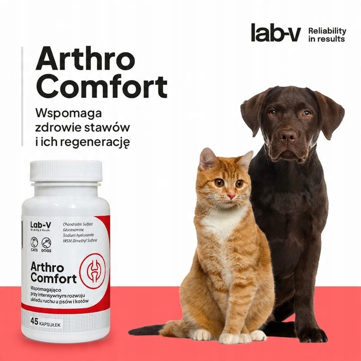 Lab-V Arthro Comfort pies i kot 90 kapsułek
