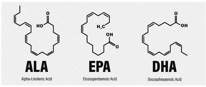 Aliness Vegan Omega 3 FORTE DHA 500mg SERCE 60kap