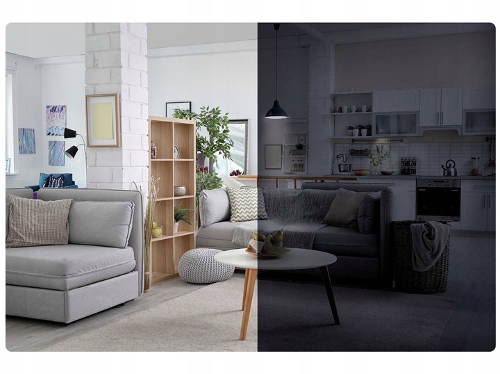 KAMERA DLA PSA KOTA DO OBSERWACJI MONITORING DOMU APLIKACJA Karta SD GRATIS