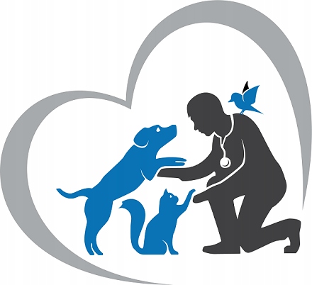 KARMA MOKRA DLA KOTA PREVITAL JUNIOR 52 X 100G SASZETKI DLA KOCIĄT MIX