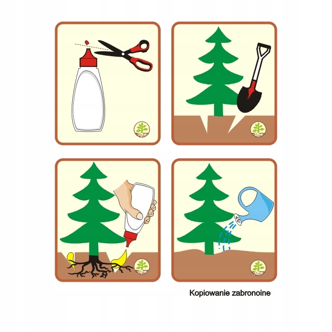 Mikoryza dla DRZEW IGLASTYCH grzybnia