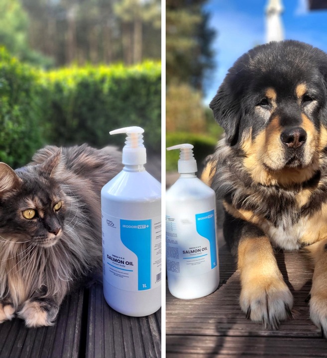 OLEJ SZKOCKI Z ŁOSOSIA DLA PSA I KOTA Salmon Oil Omega 3 Omega 6 1000 ml