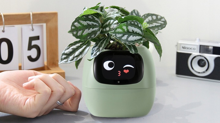 Inteligentna doniczka IVY SMART PLANTER osłonka na donicę PLANTSIO ZIELONA