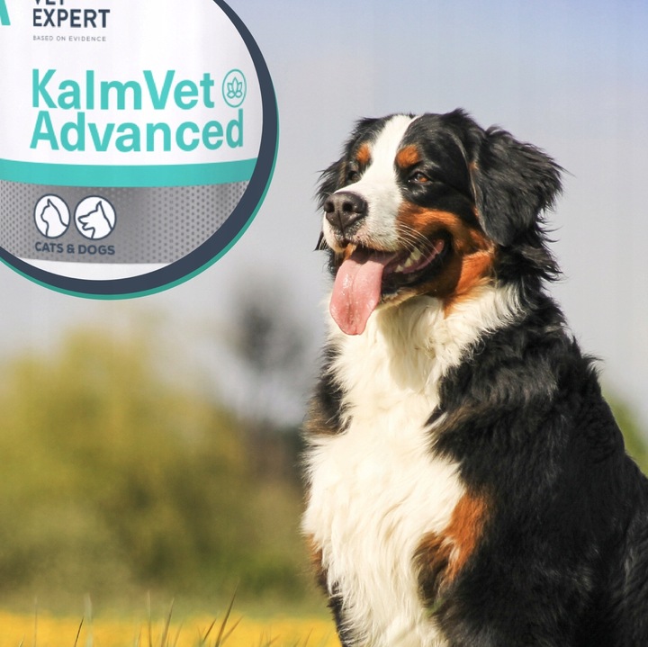 Vetexpert KalmVet ADVANCED TwistOff objawy stresu pies / kot 60 kapsułek