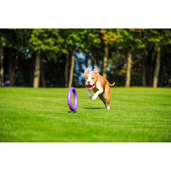 Szarpak dla psa PULLER Standard 28 cm - Zabawka 2 ringi dla dużych ras psów