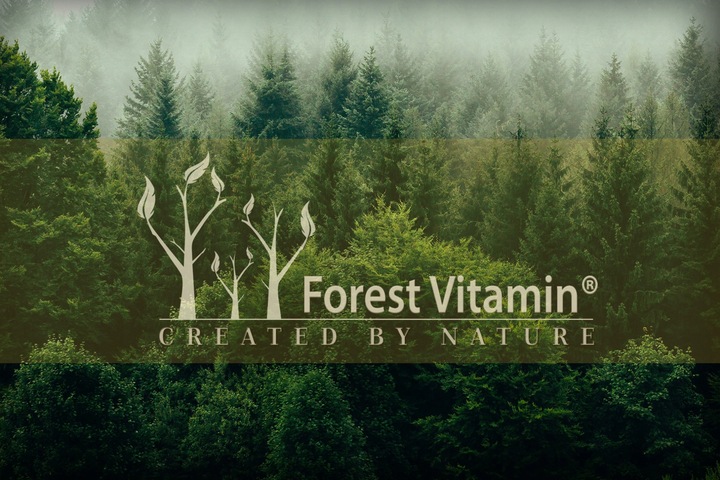 Soplówka Jeżowata 500mg 60kap LION'S MANE PAMIĘĆ MÓZG KONCENTRACJA