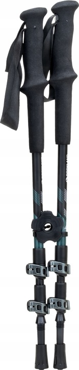 KIJE TREKKINGOWE Access Lite Carbon Rockland