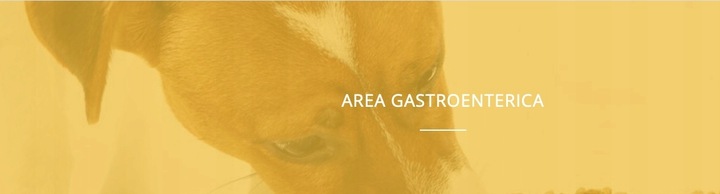 RELAXIGEN PET CANE NBF Lanes 20 tabletek - SPOKÓJ PSA