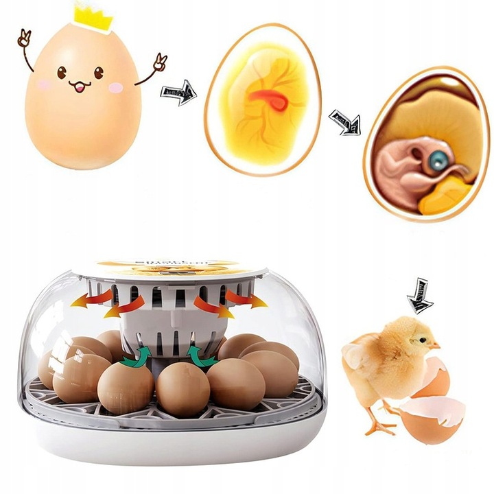 INKUBATOR DO JAJ AUTOMATYCZNY (12 JAJ) WYLĘGARKA KLUJNIK Z OBRACANIEM 35 W