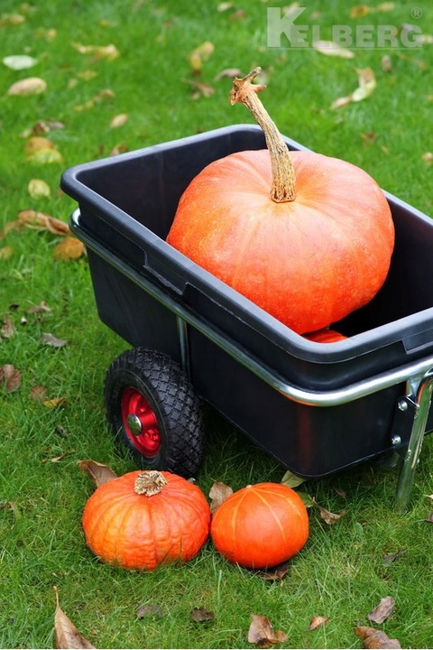 Wózek OGRODOWY transportowy dwukołowy Taczka 135L